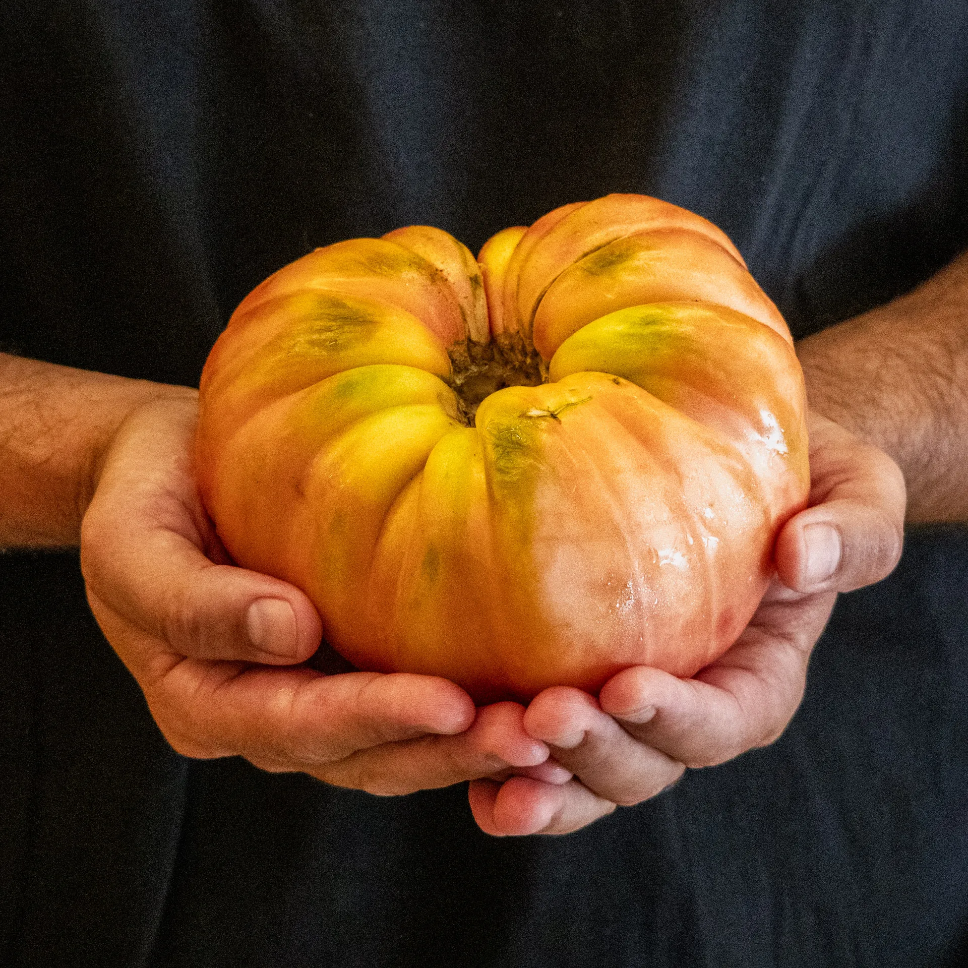 tomate-rosado-en-manos-producto-local